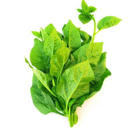 Malabar Spinach (Puishaak)