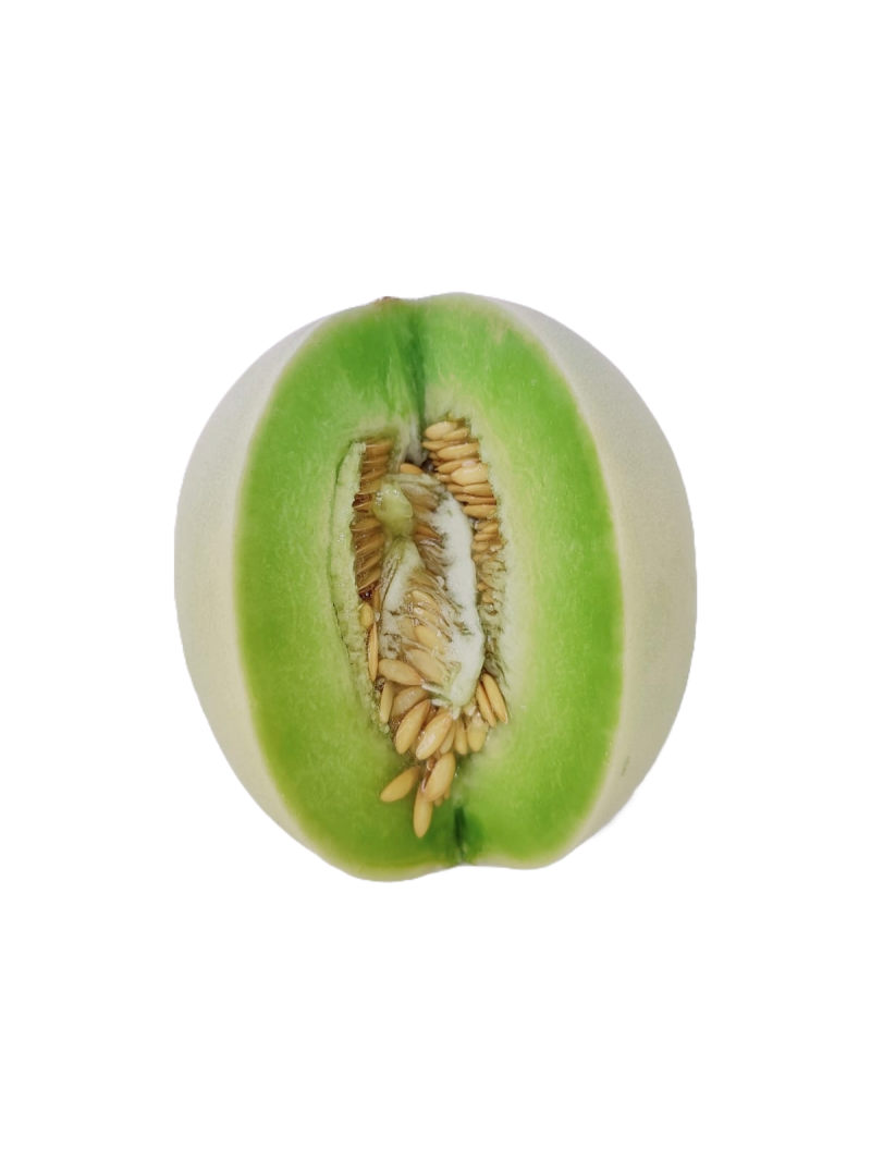 Honeydew Melon (Green)