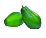 Green Papaya