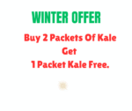 Buy 2 Packets Of Kale Get 1 Packets of Kale Free