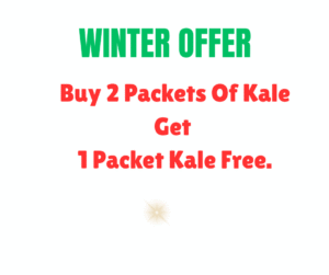 Buy 2 Packets Of Kale Get 1 Packets of Kale Free