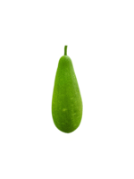 Bottle Gourd (Lau)