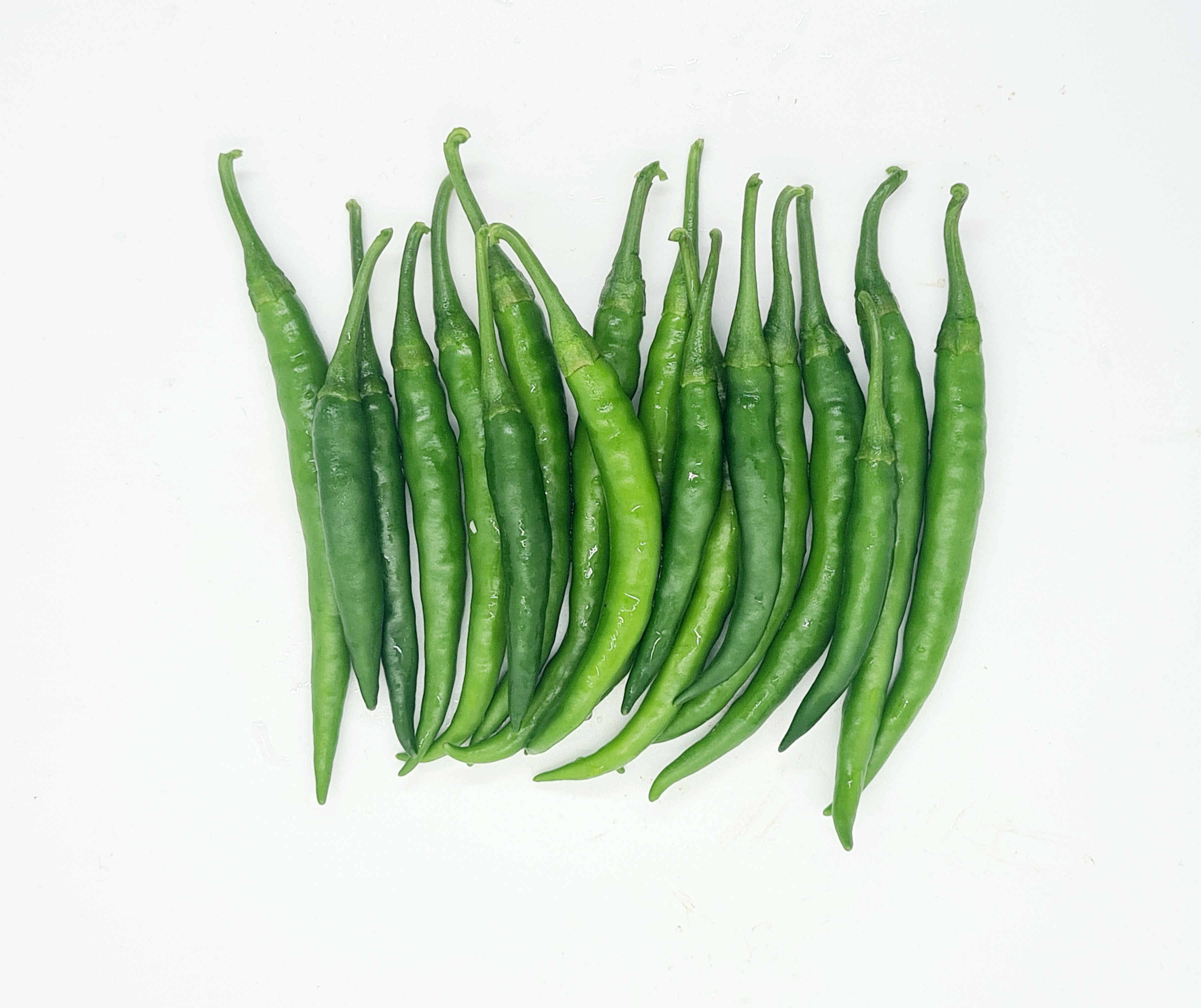 Small Chili Paper - Farm Greens