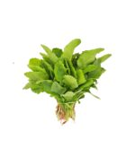 Radish Spinach