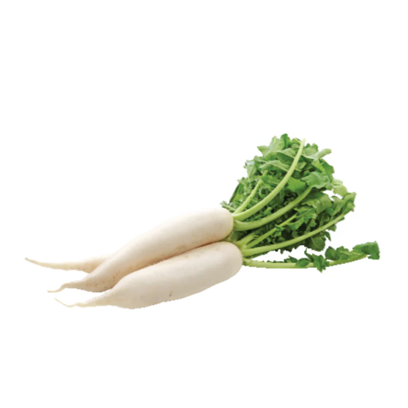 Radish