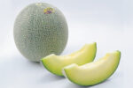 Rock Melon (Small Size)