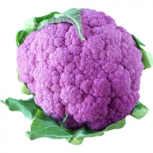 Cauliflower Purple