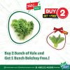 Buy 2 Bunch Kale & Get 1 Bunch Bokchoy  Free!
