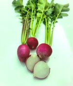 Red Radish