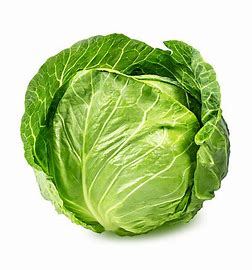 Green Cabbage