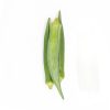 Okra