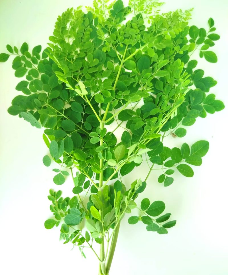Moringa Leaves