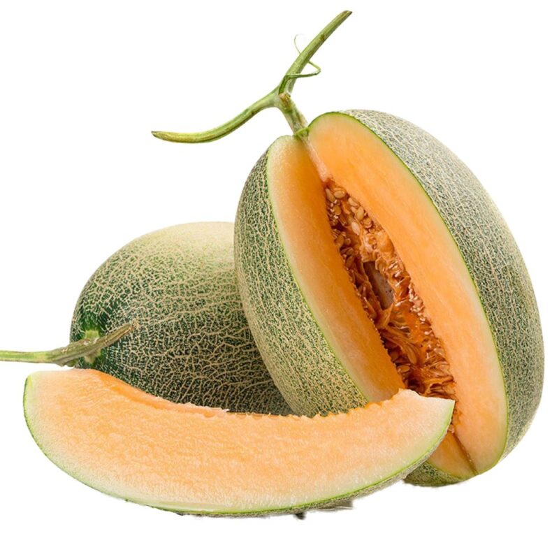 Rock Melon (Medium Size)