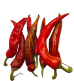 Large Chilli Pepper 500g RED
