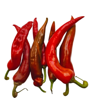 Large Chilli Pepper 500g RED