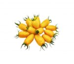 Yellow Cherry Tomato (250g box)