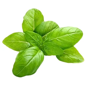 Big Green Basil