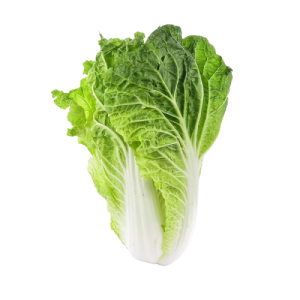 Chinese Cabbage