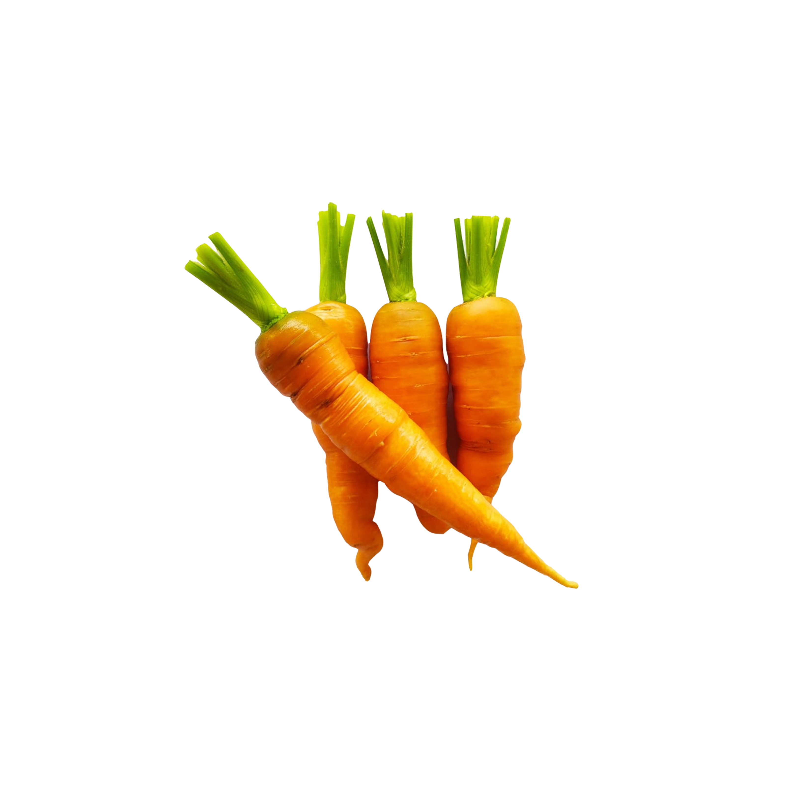 Carrot - Farm Greens