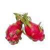 Dragon Fruit