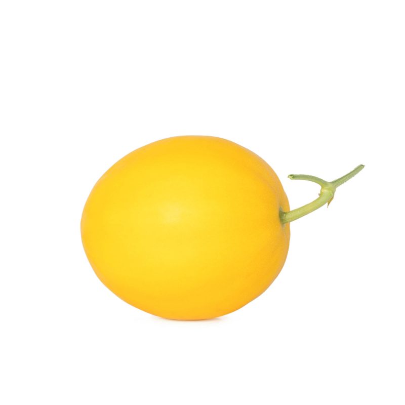 Honeydew Melon (Medium size) Green