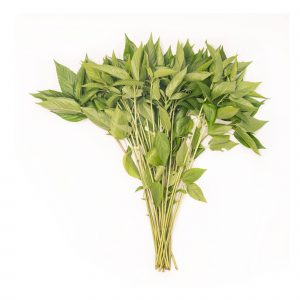 Jute Spinach
