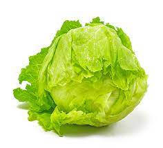iceberg lettuce