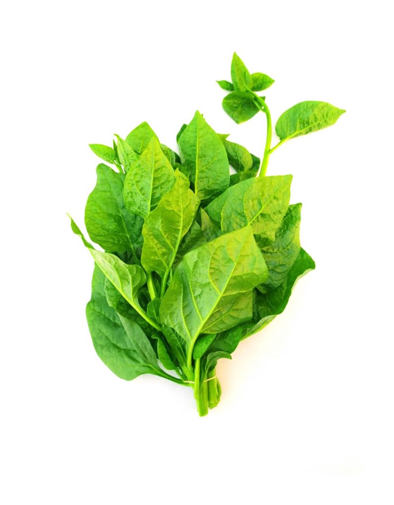 Malabar Spinach (Puishaak)