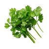 Flat Parsley