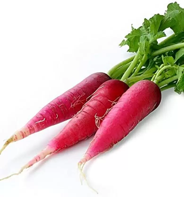 Red Radish Long