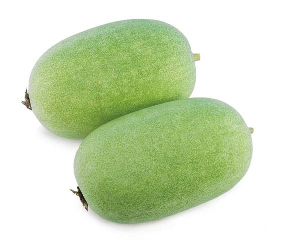 Wax Gourd (Chal Kumra)