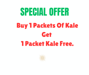 Buy 1 Get 1 Free Offre