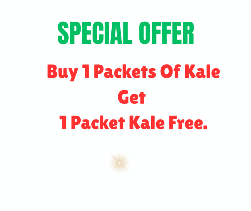 Buy 1 Get 1 Free Offre